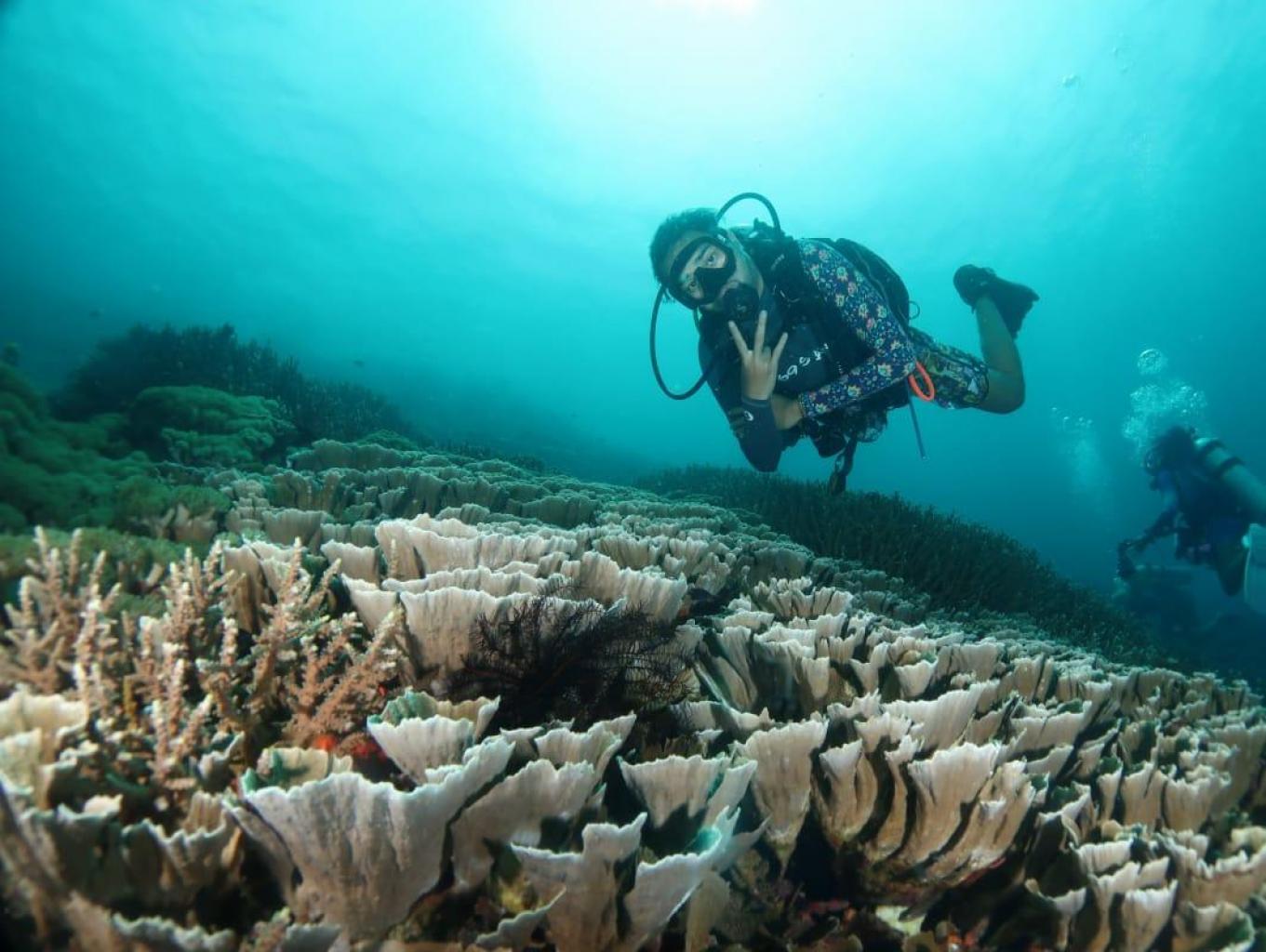 Diving