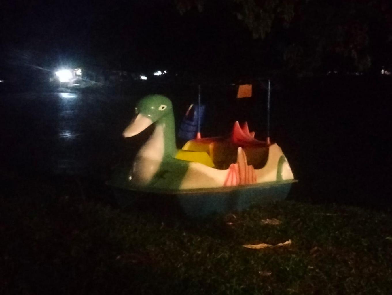Bebek Dayung