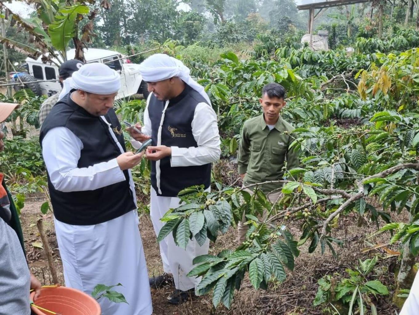 edukasi kekebun kopi