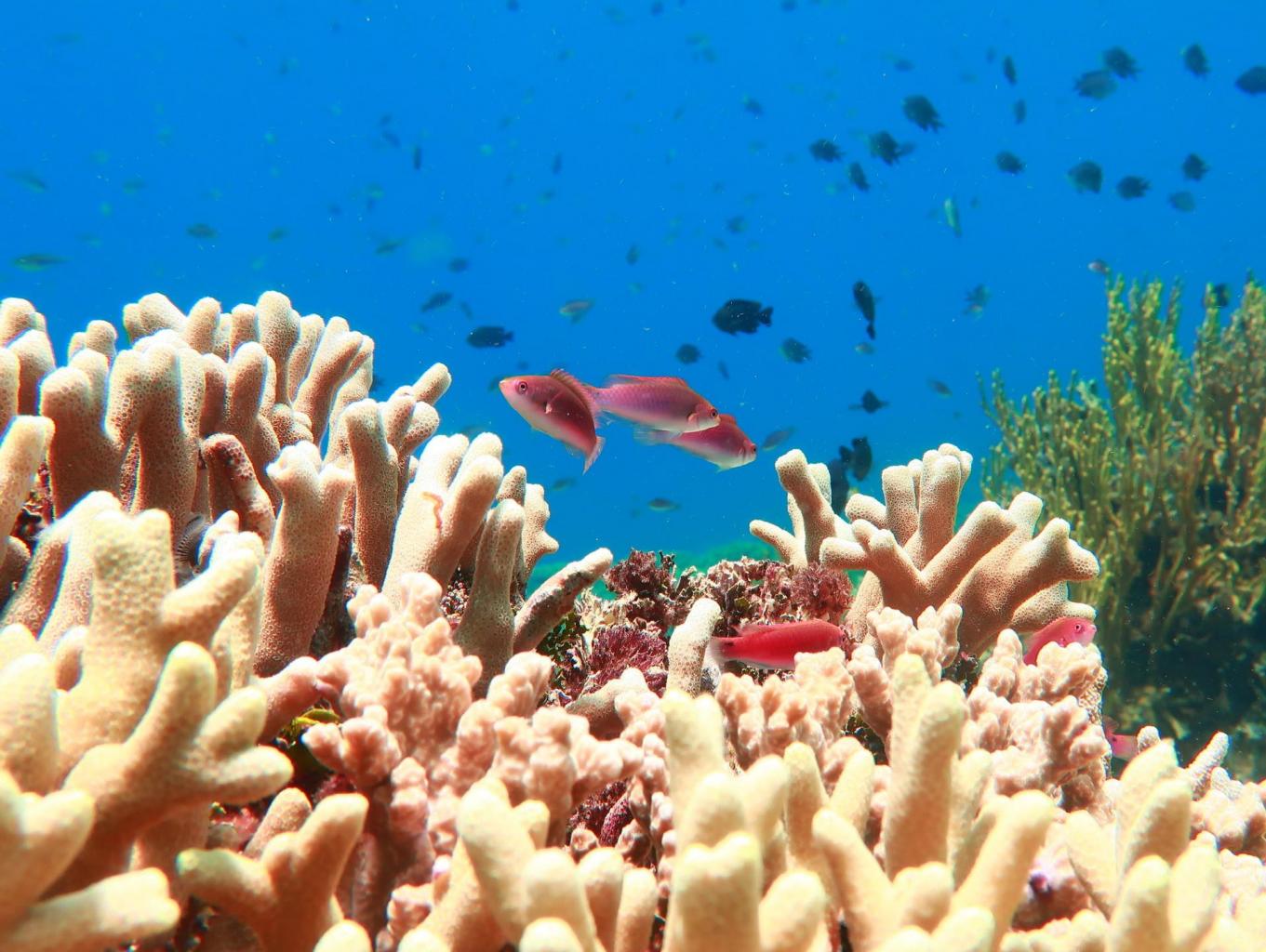 Underwater