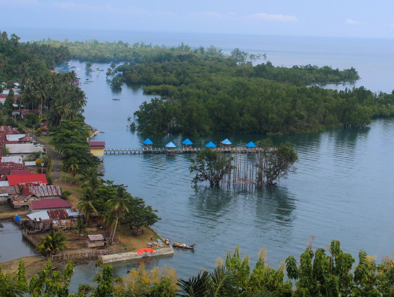 Wisata Alam Mangrove
