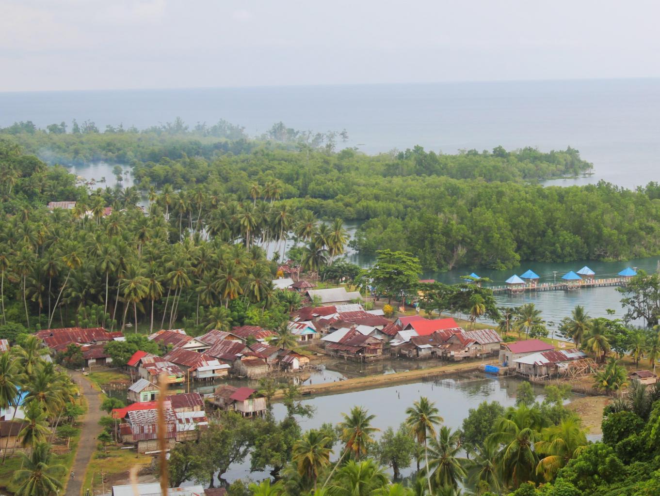 Pemukiman warga di areawista mangrove