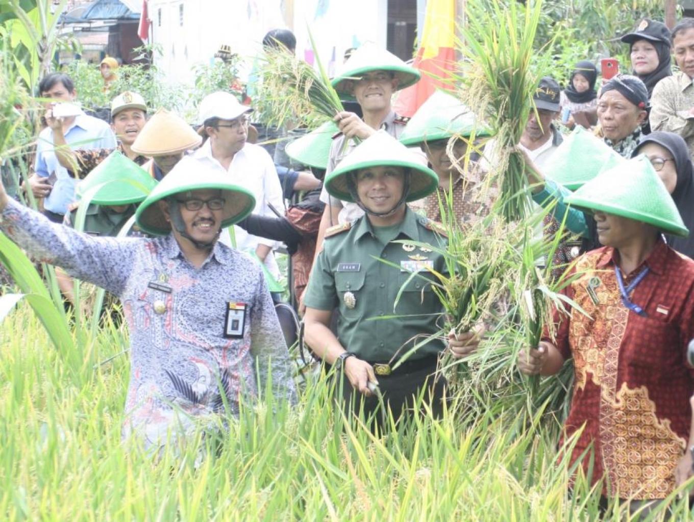 Upacara Adat Wiwitan Pari