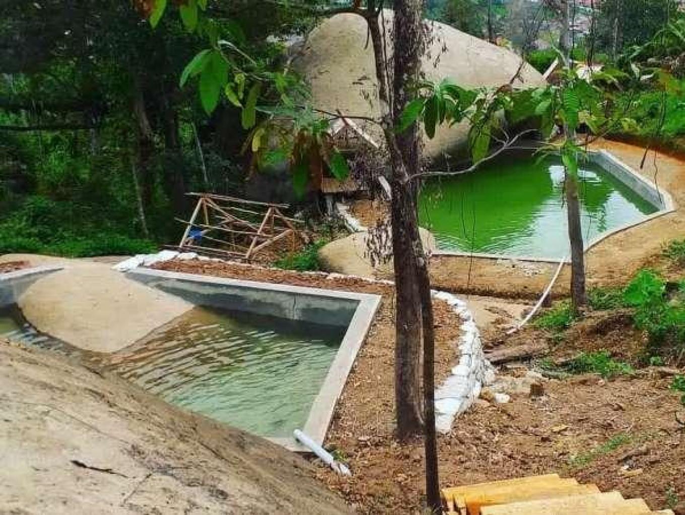 Kolom Berenang 