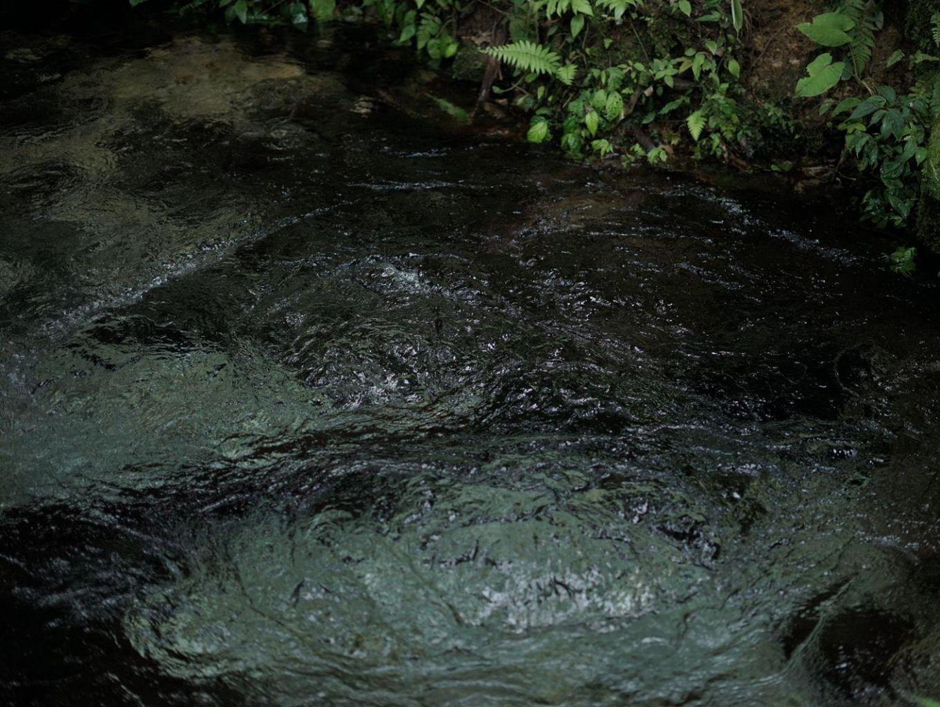 Pemandian di hulu sungai batang buok