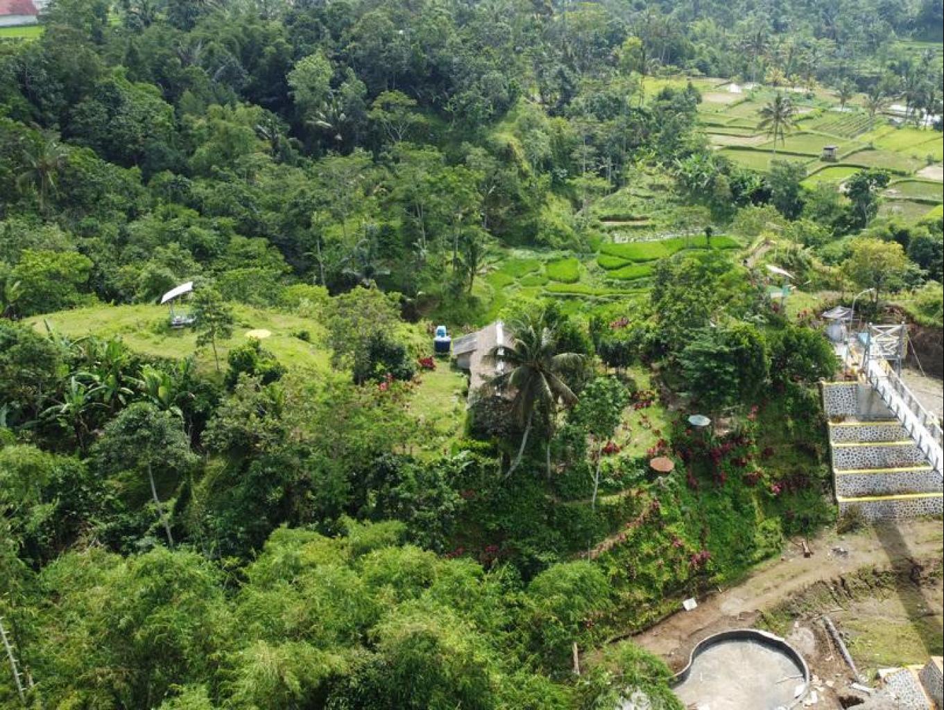 flower hill