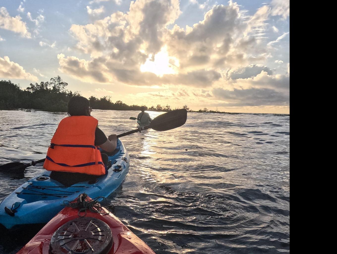 Tour mangrove and sunset view 