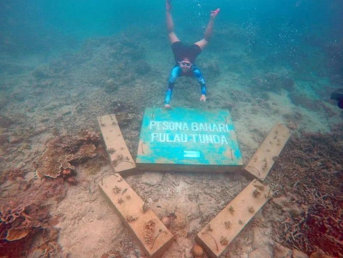 Wisata Edukasi Tranplantasi Terumbu Karang