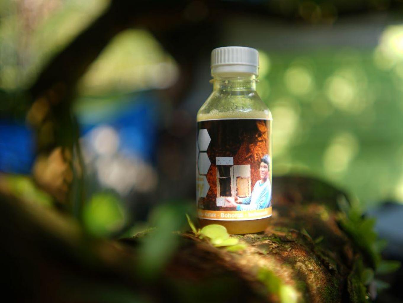 Madu Trigona