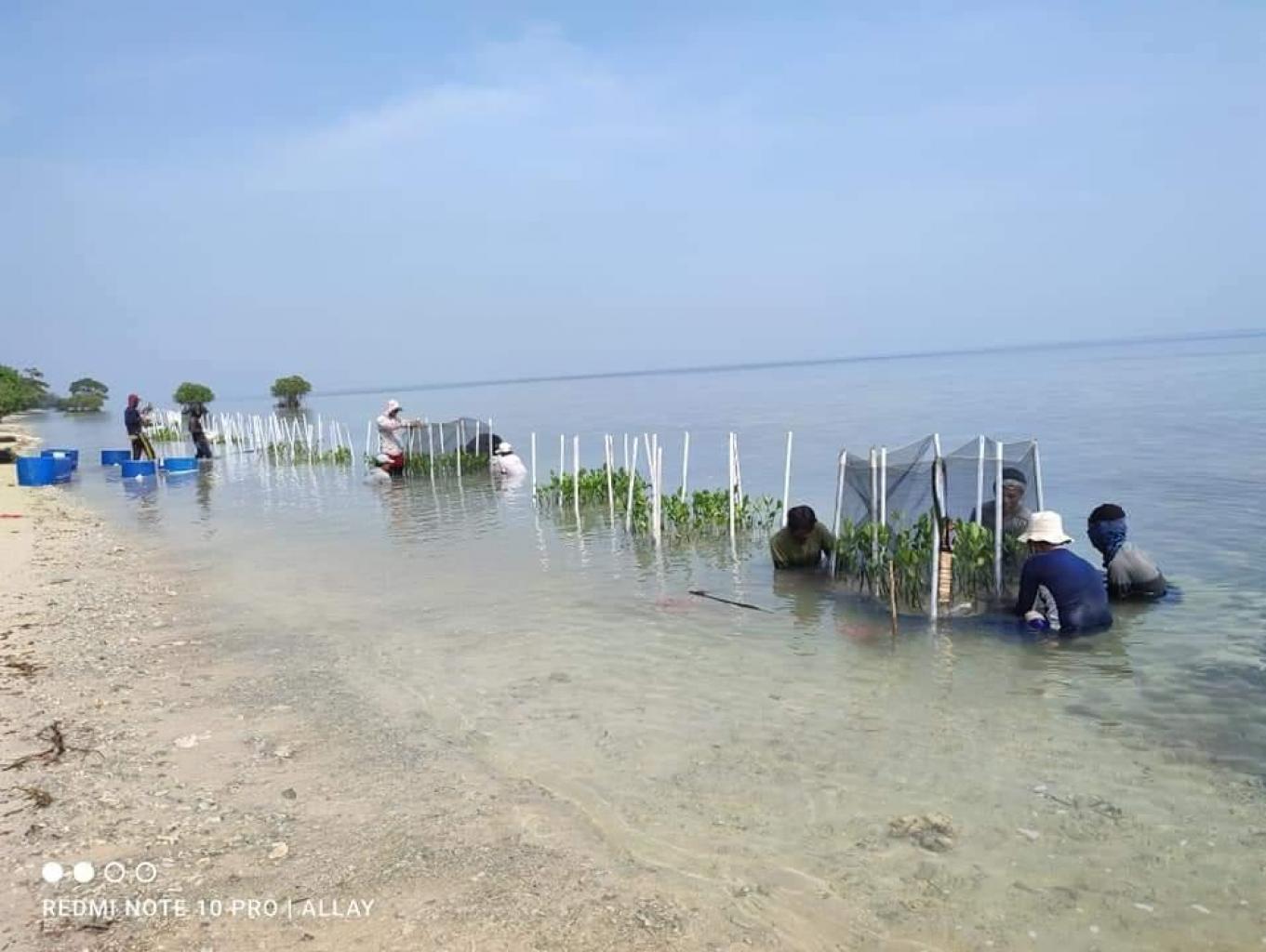 Wisata edukasi konservasi mangrove