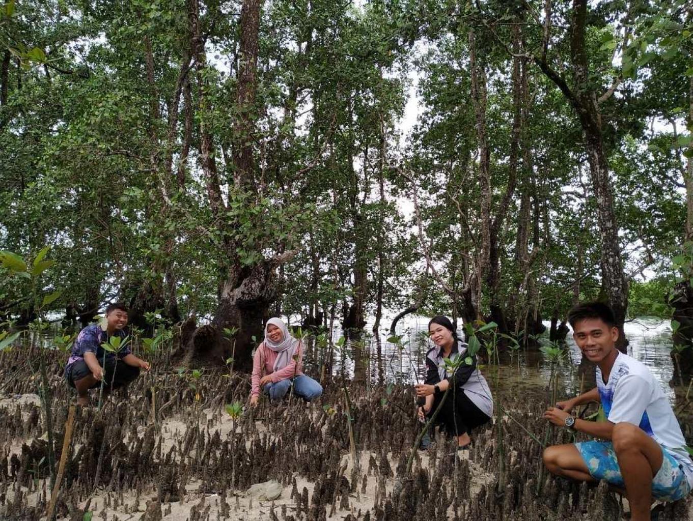 Mangrove Teluk Pea