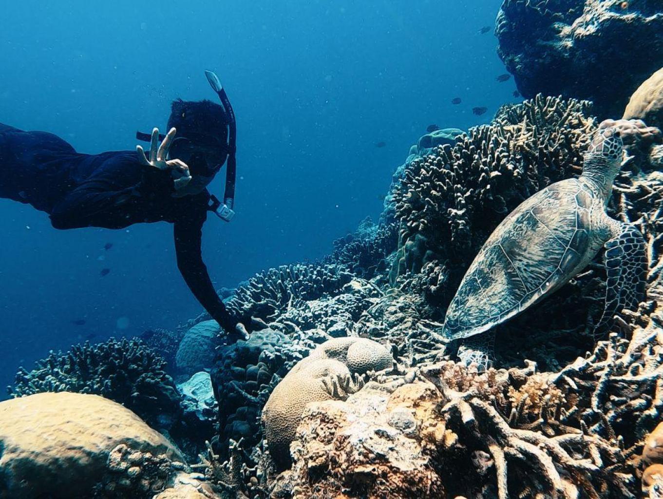 Snorkeling Spot