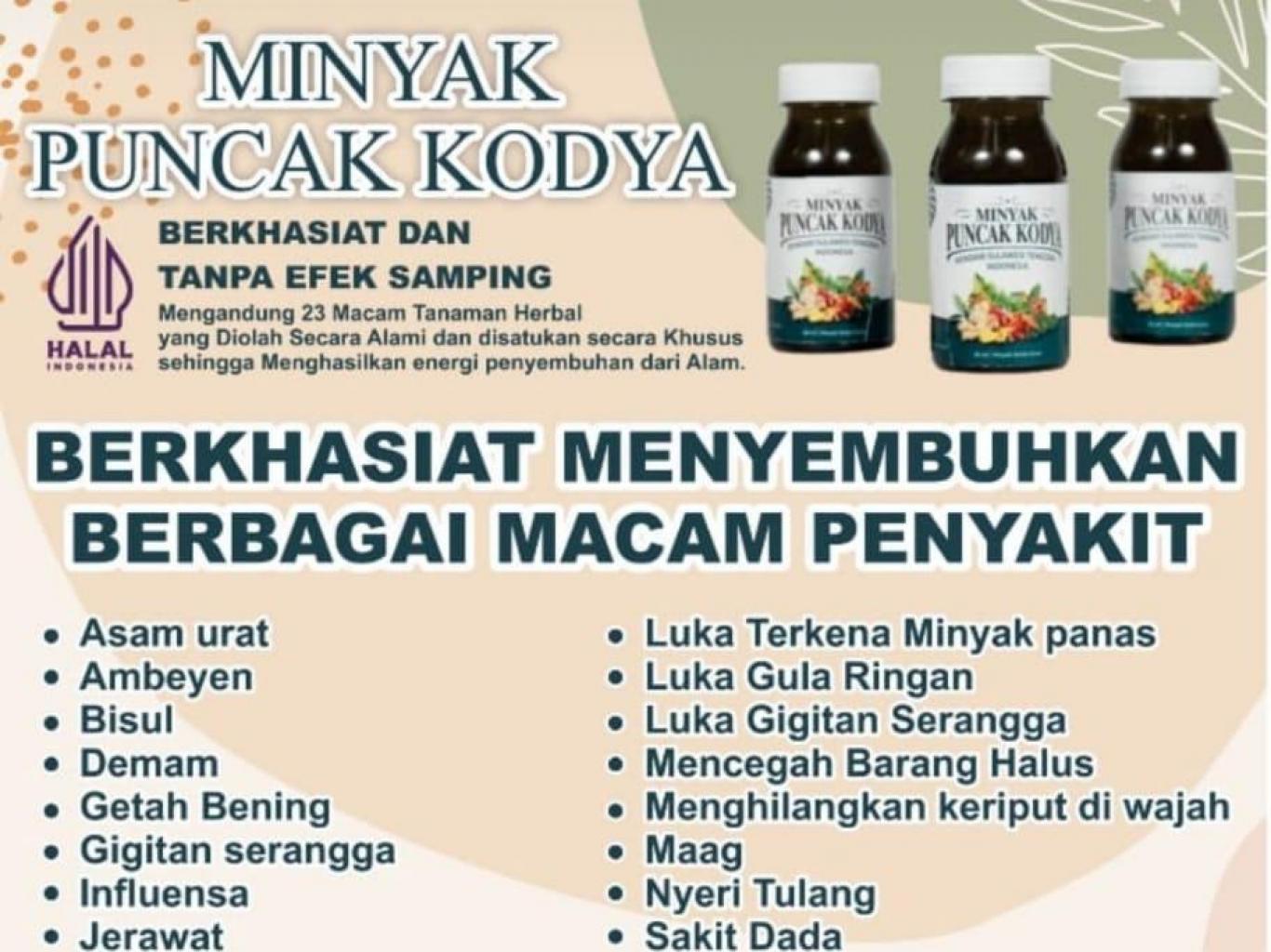 Minyak Puncak Kodya