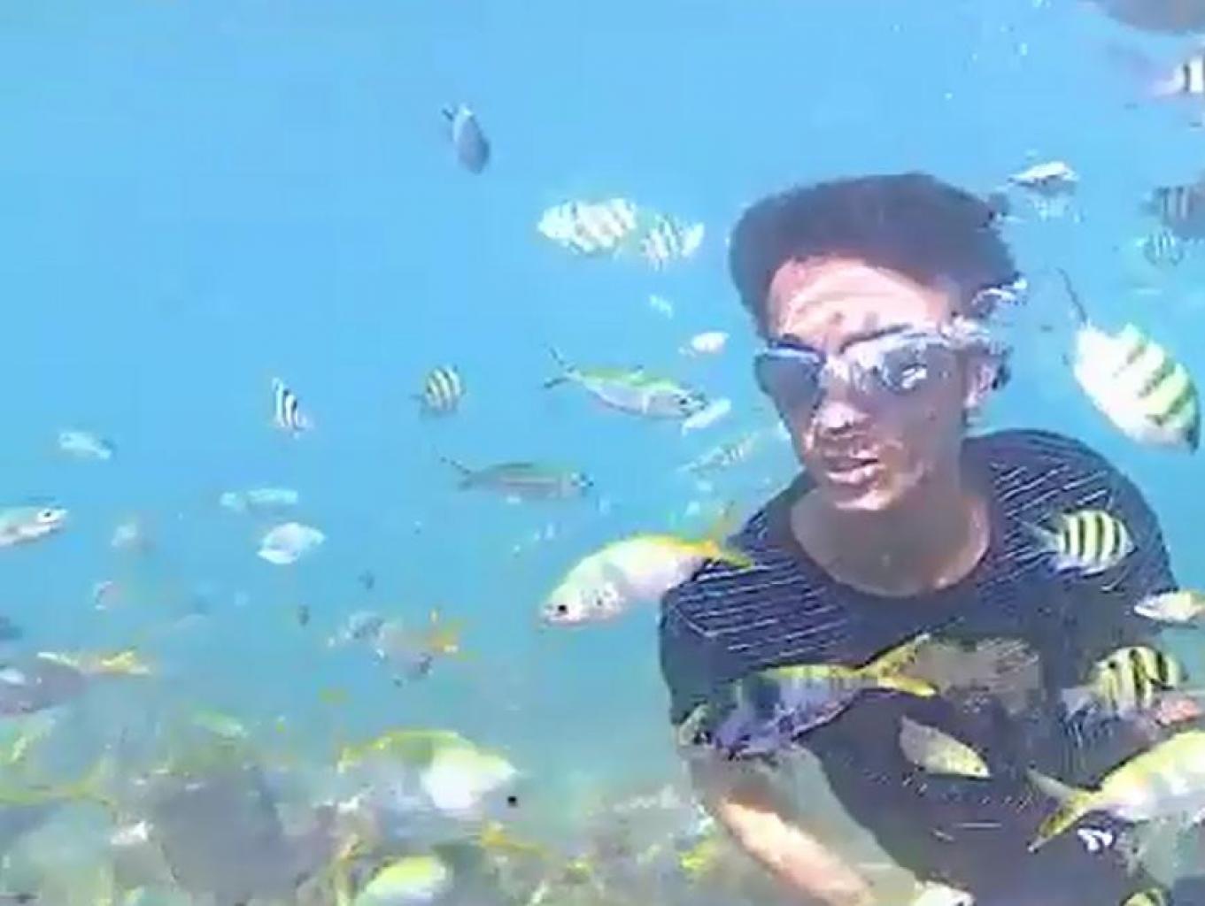 snorkeling (foto bawah air)
