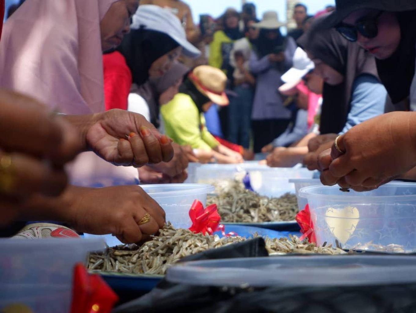 Lomba Makkope Ikan Teri Ambalat