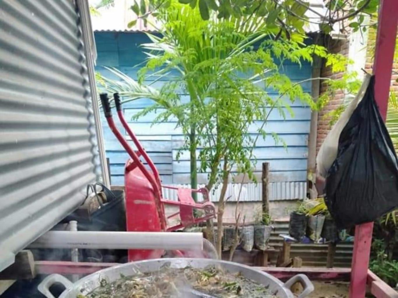 Pembuatan Minyak Puncak Kodya