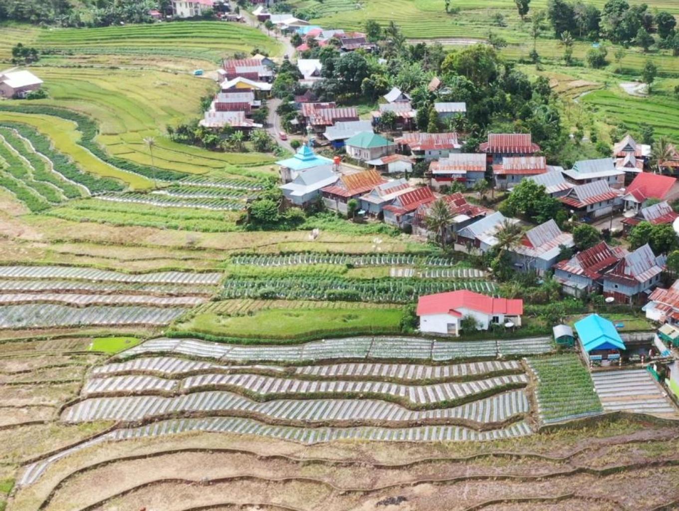Kawasan Desa Wisata Persawahan Bontotiro