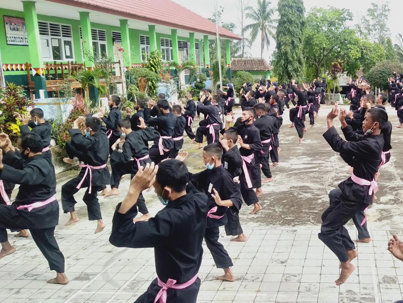 Pencak silat PSHT 