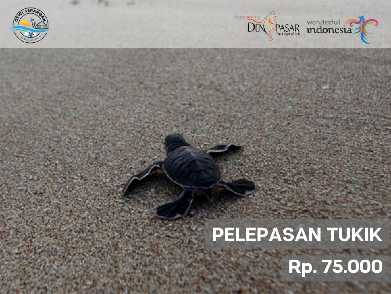 Produk Wisata Pelepasan Tukik
