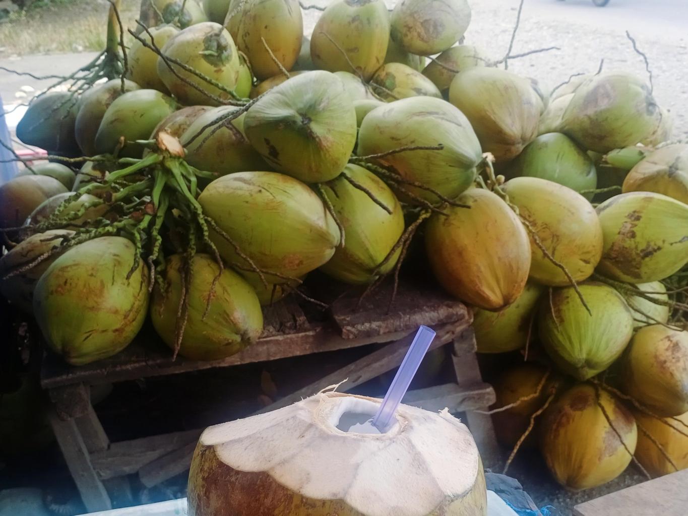 Kelapa Muda
