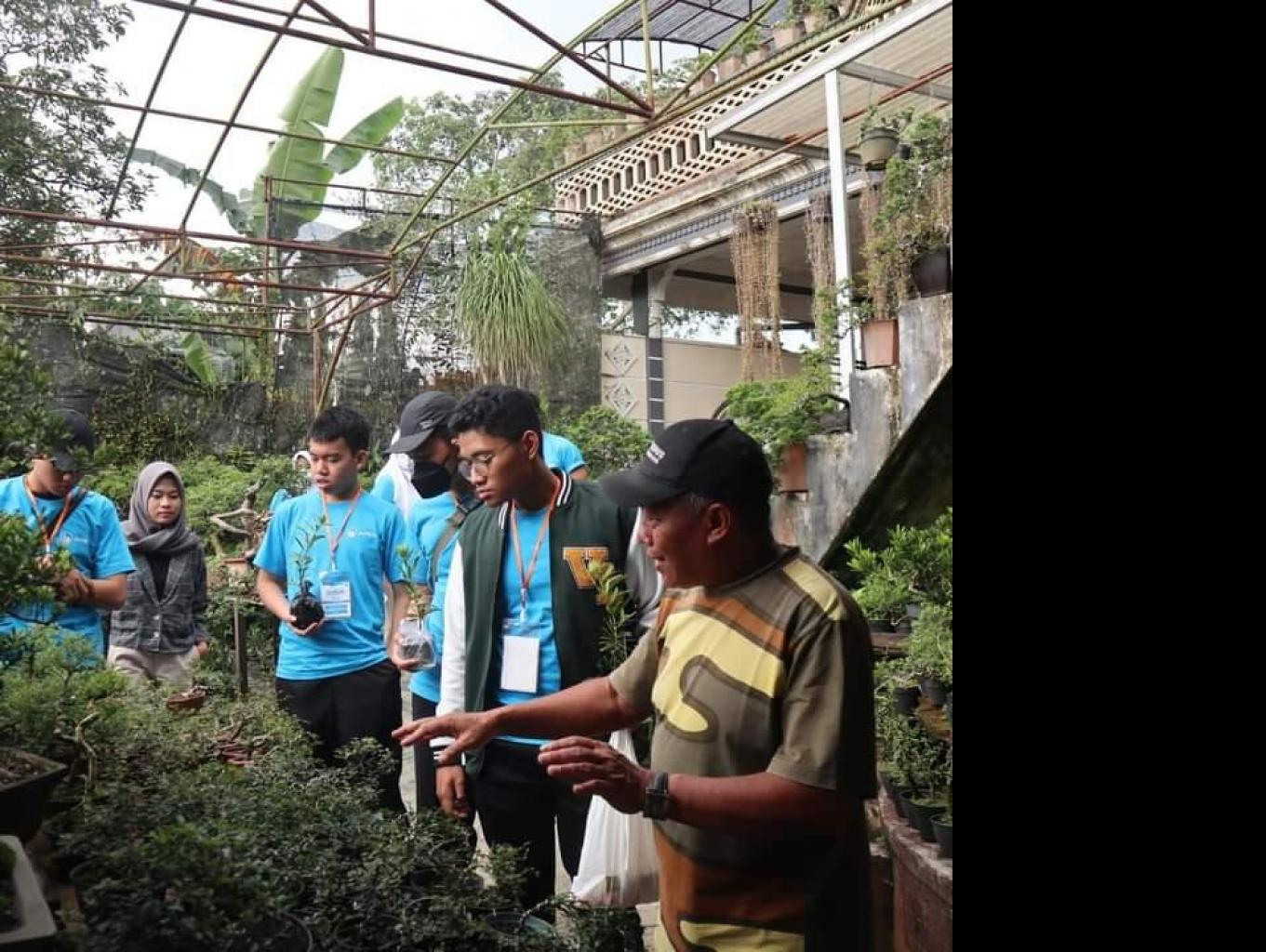 Edukasi tanaman bonsai