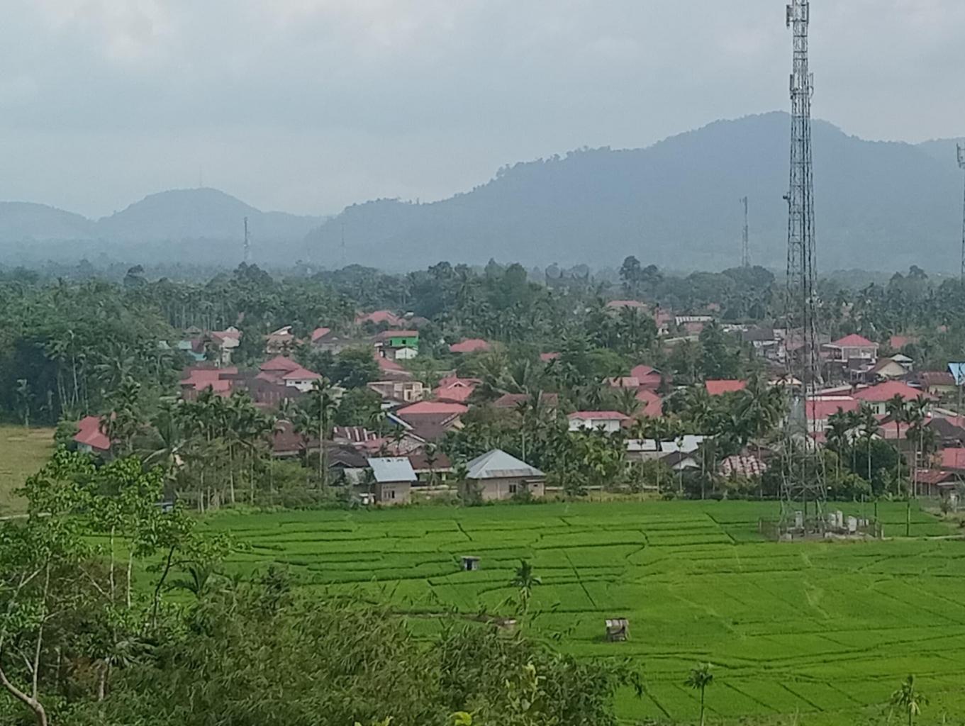 AIA MANGGIH SELATAN