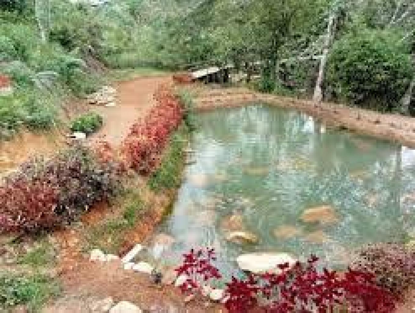 Kolam Ikan