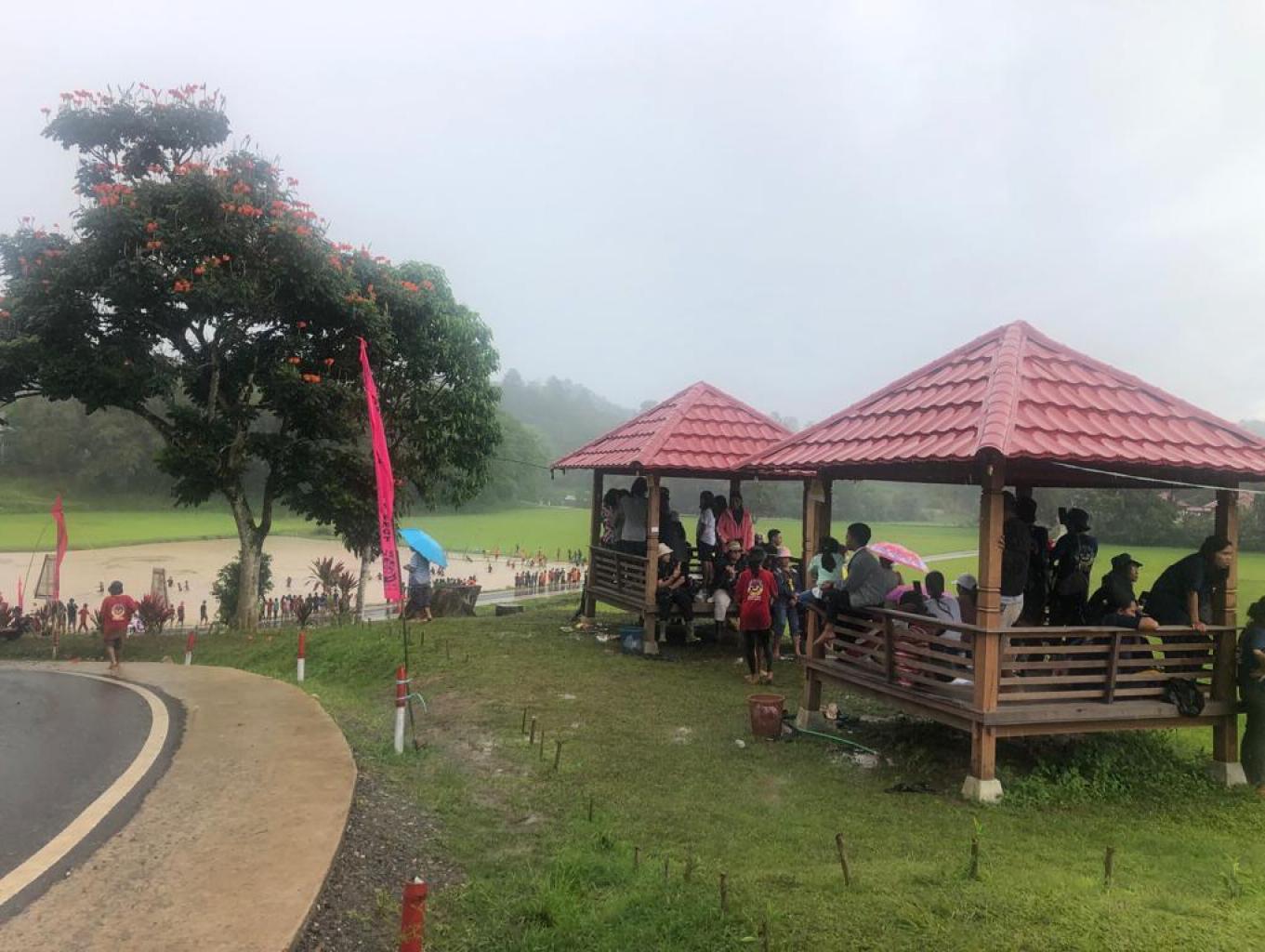 Budidaya Ikan Mas dan Gazebo