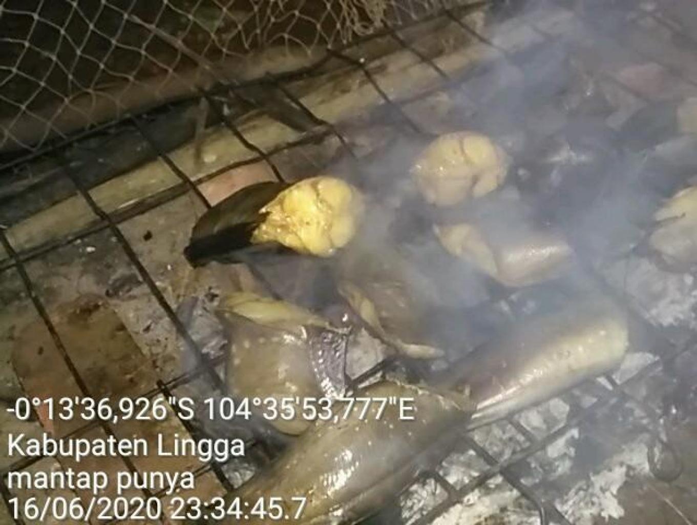 IKAN KELI/LELE KAMPONG SALAI