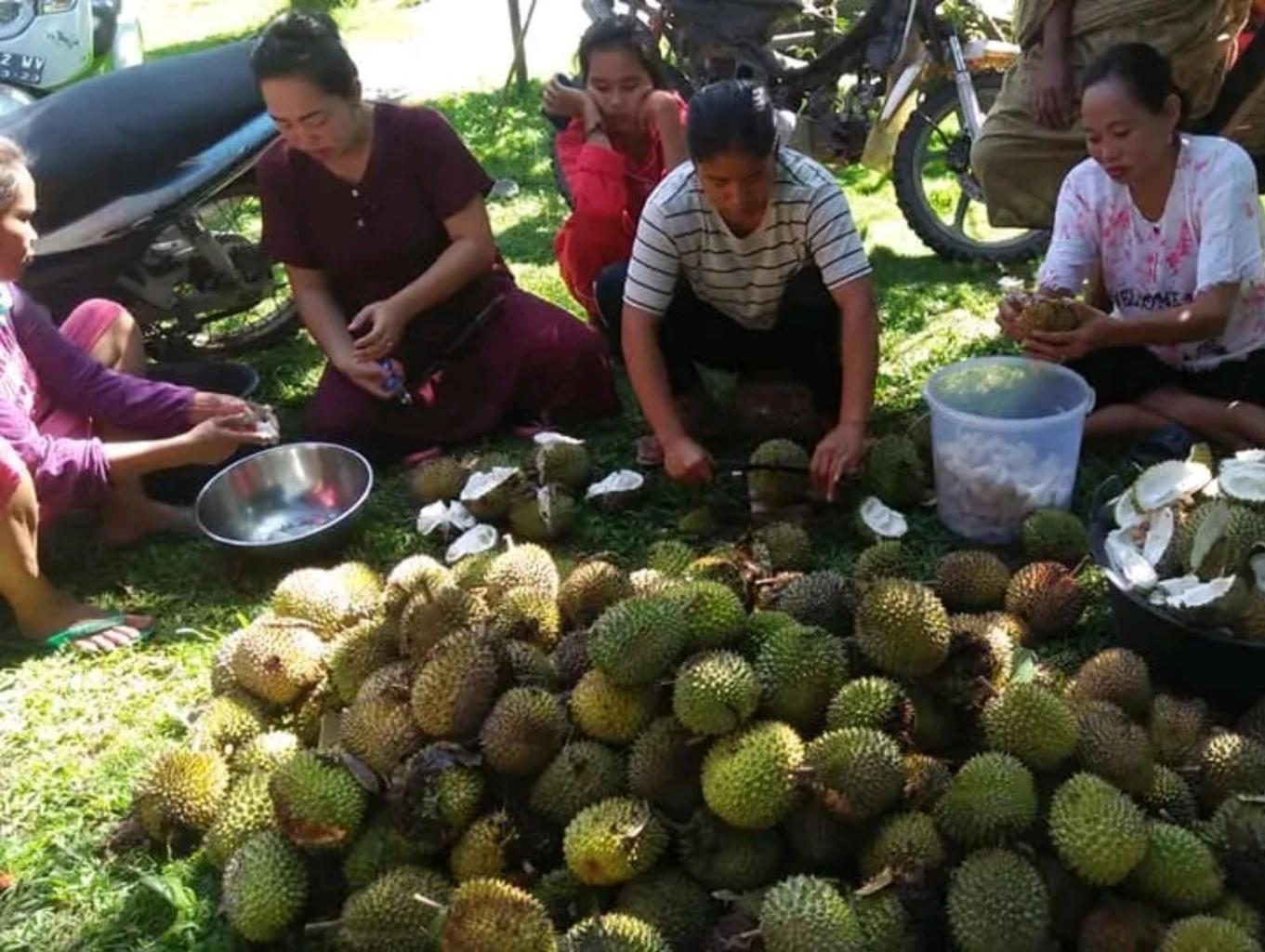 MEMBUAT DOMPO DURIAN
