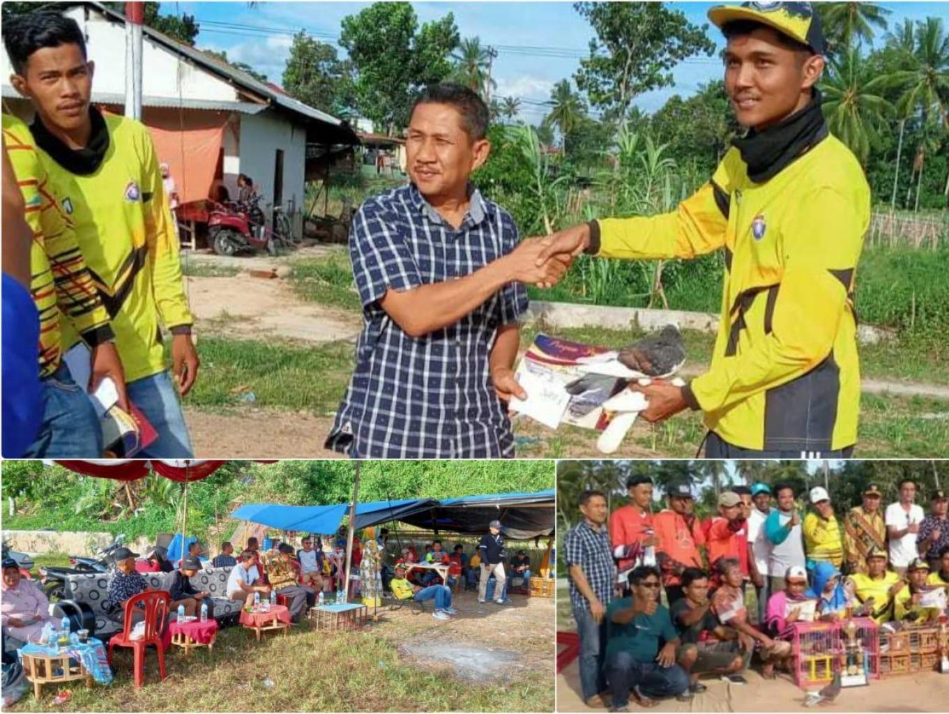 pacu buruang marpati polong