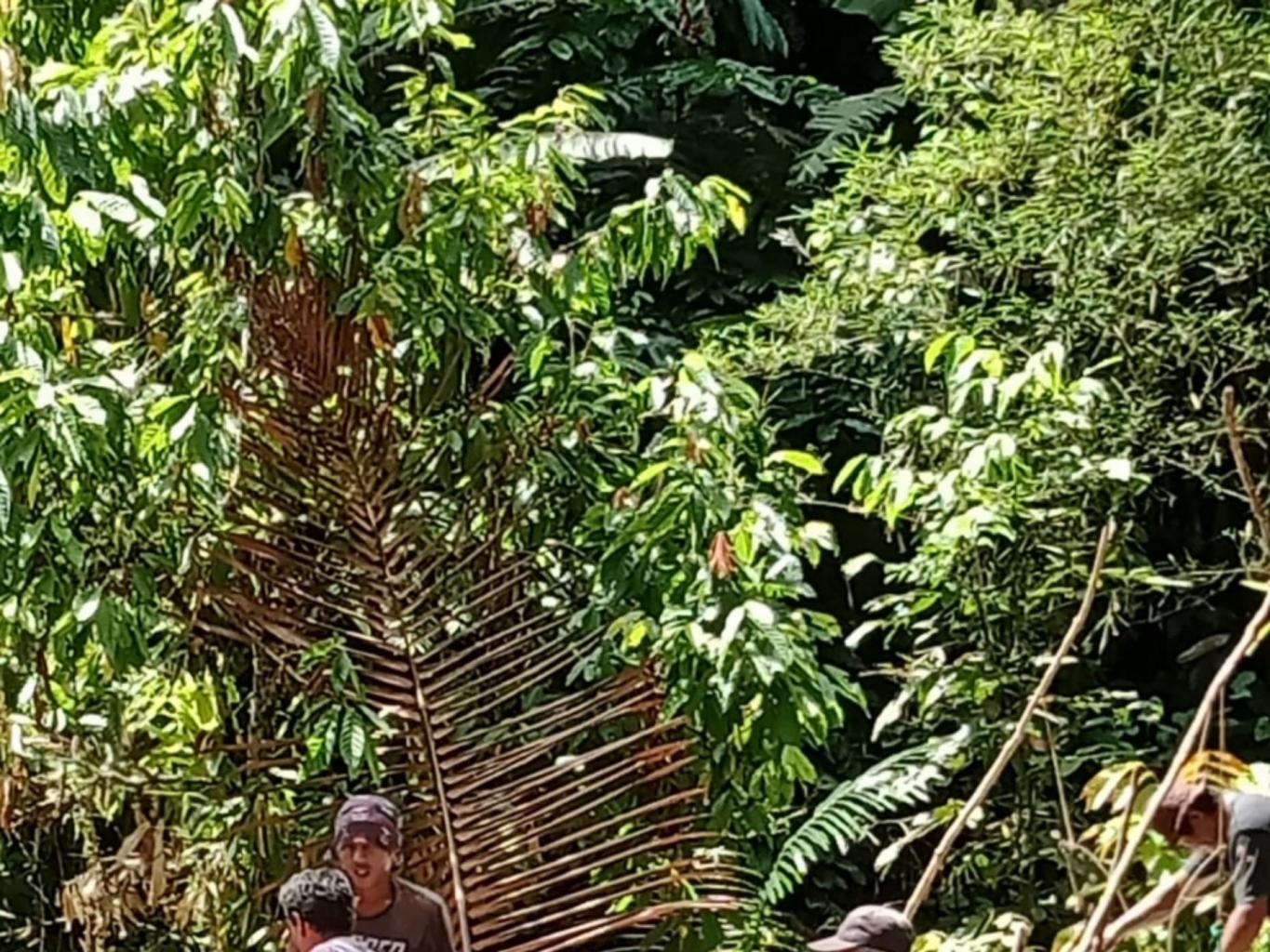 SUMAMBE (MEMBUAT SAGU DENGAN CARA TRADISIONAL)