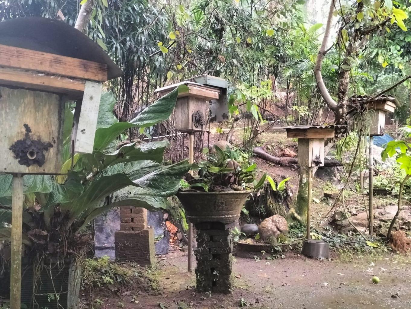 Klanceng