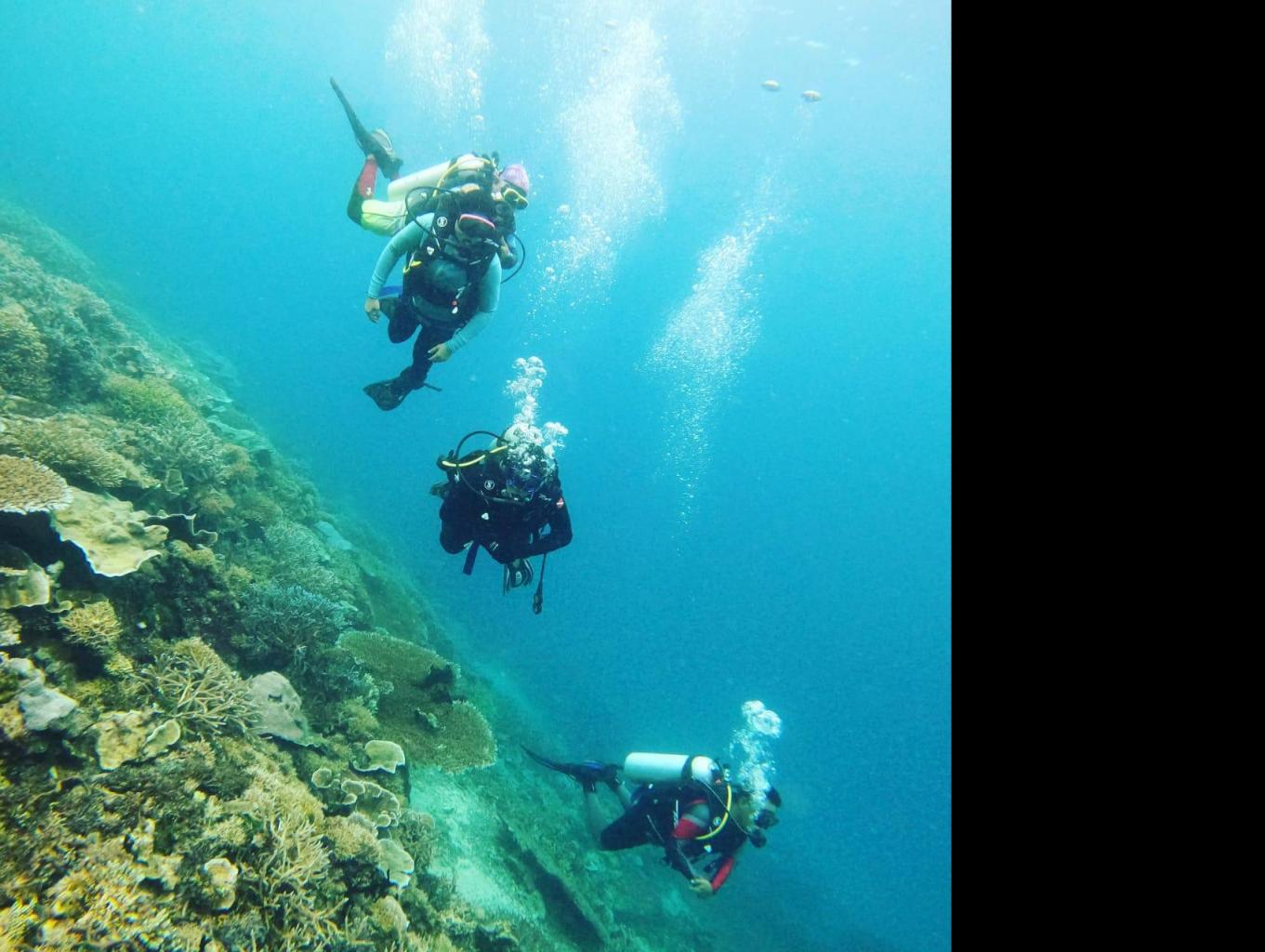 Diving