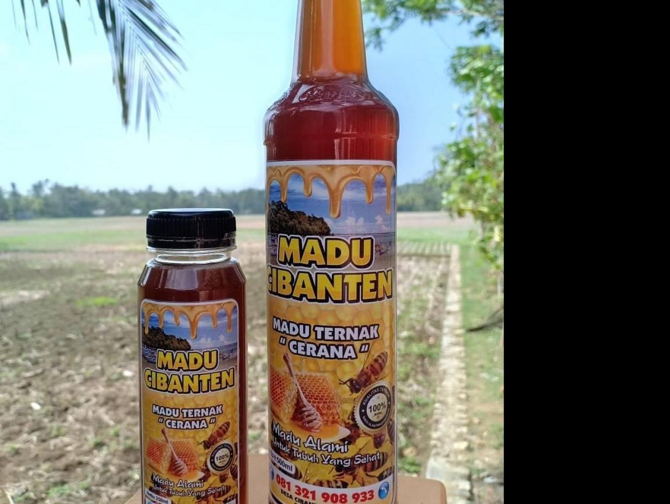 Madu Murni  Amanah Cibanten
