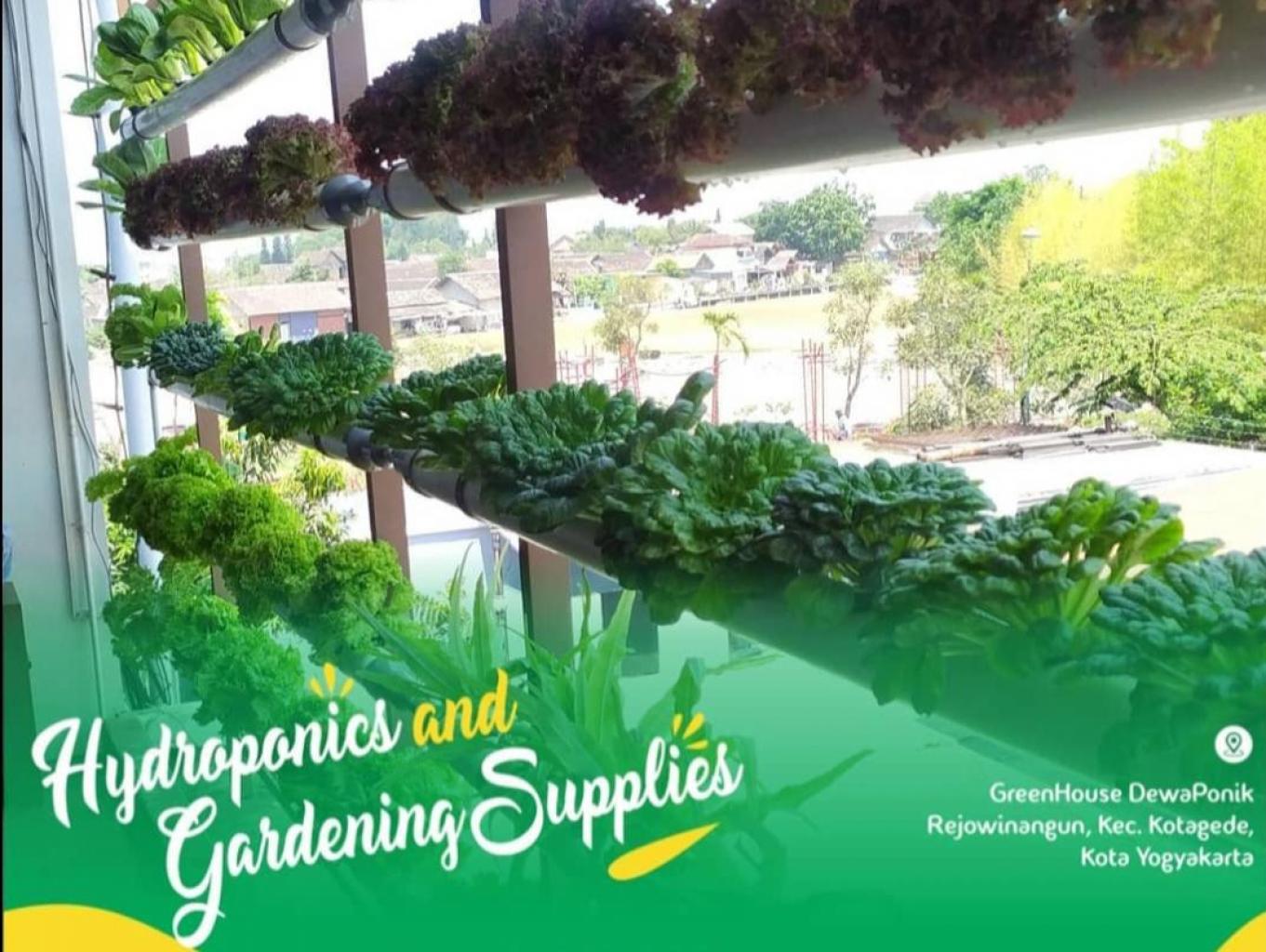 Agro Edukasi Hidroponik