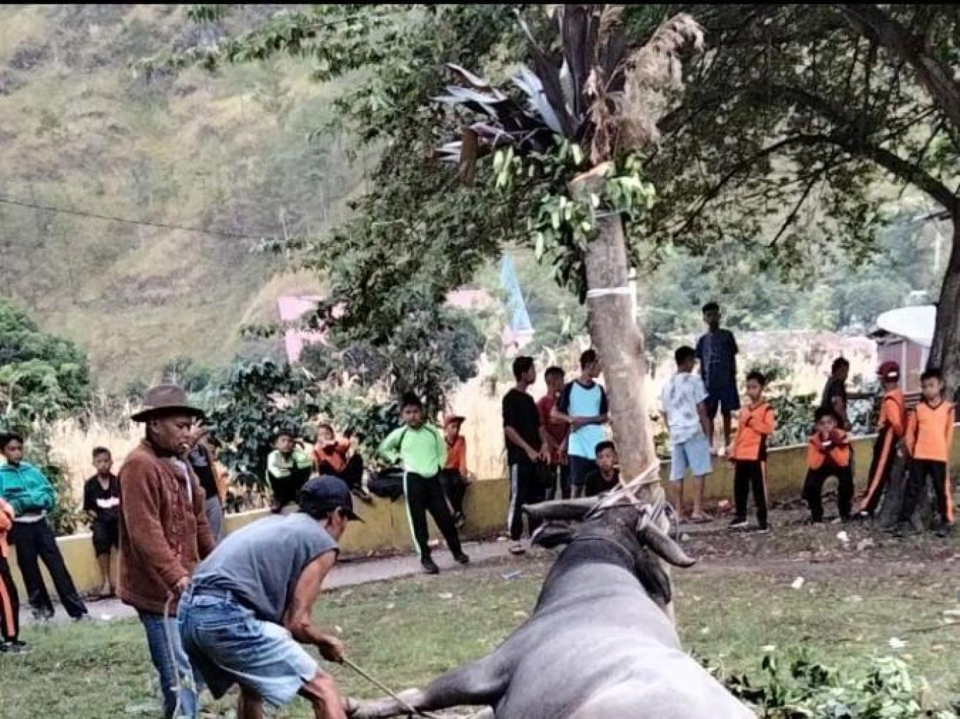 SIPAHA LIMA