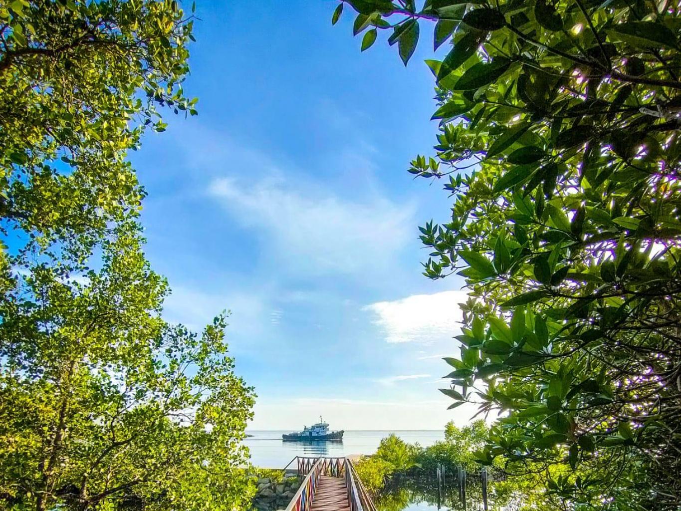 Wisata Education Mangrove Laksamana Bukit Batu
