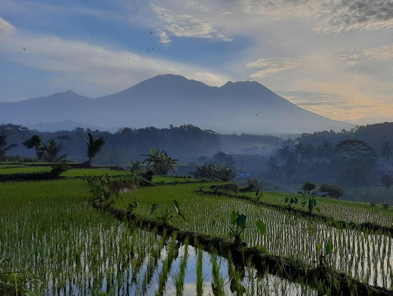 Panorama Alam Desa