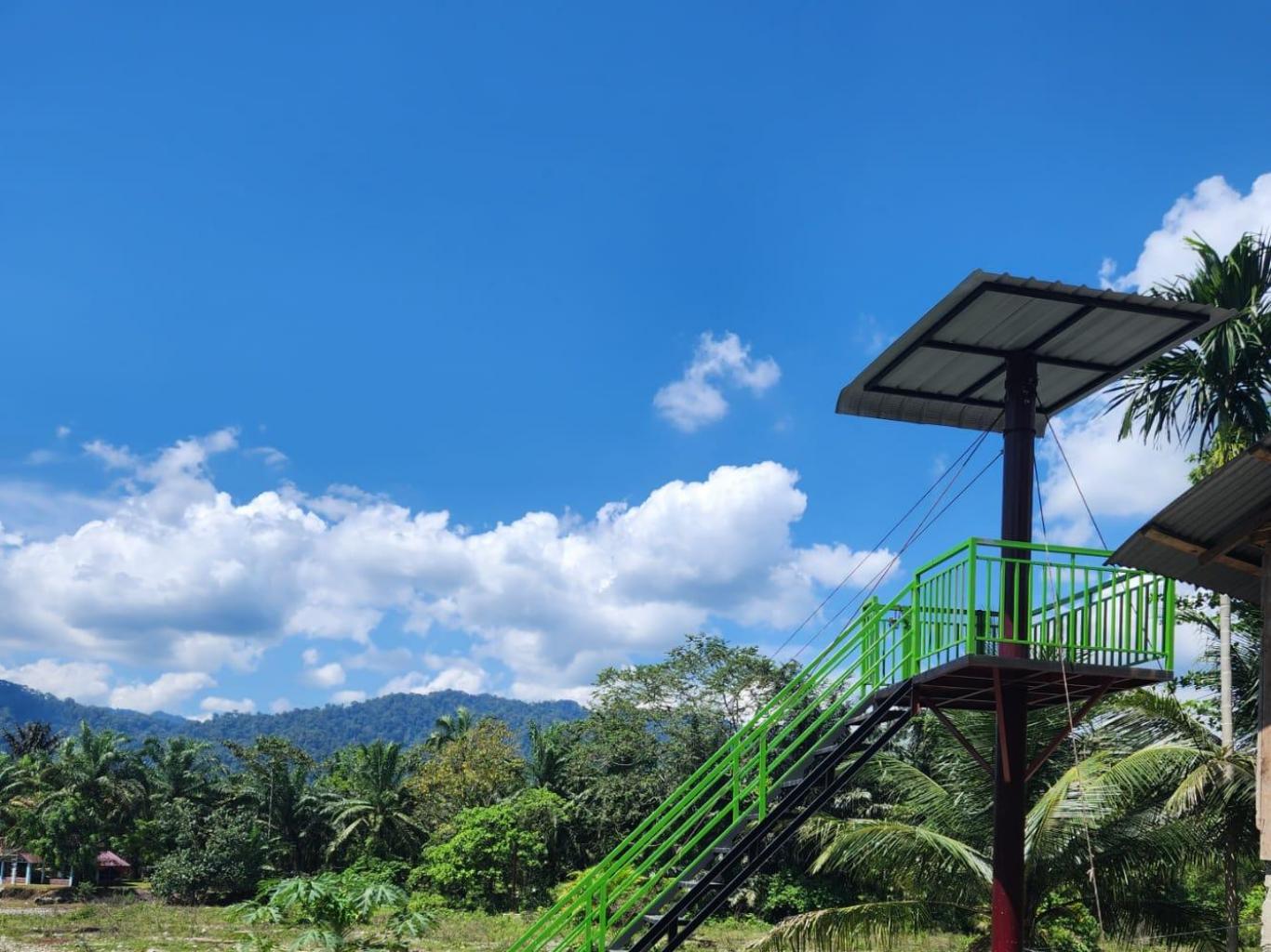 Flying Fox 