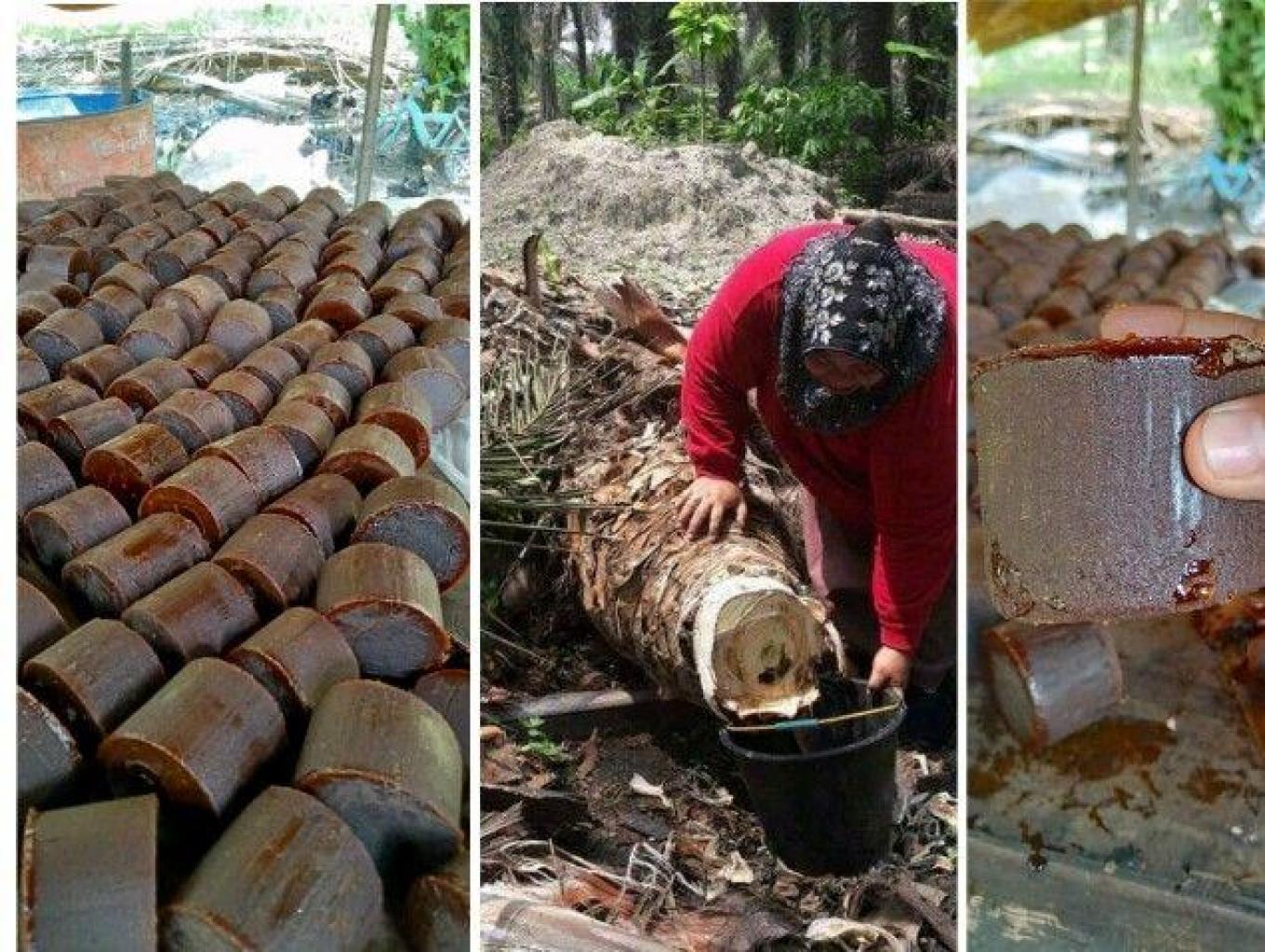 Gula Merah Kelapa Sawit