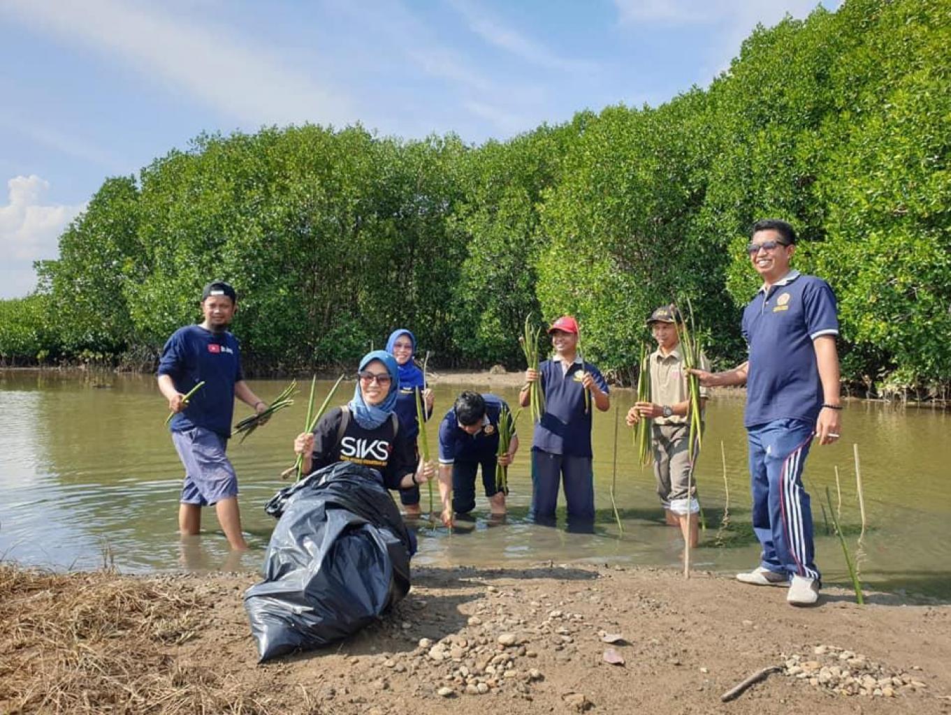 Edukasi Menanam Mangrove