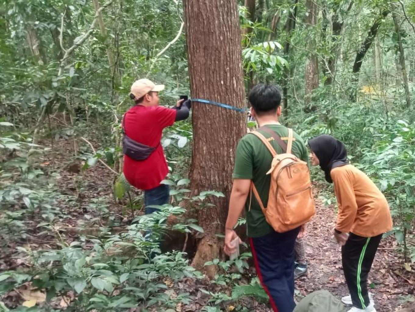 Pengamatan Flora Hutan 