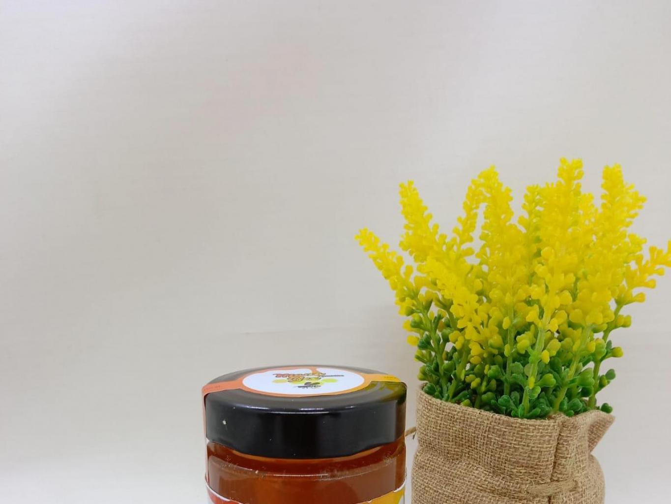 Madu Trigona