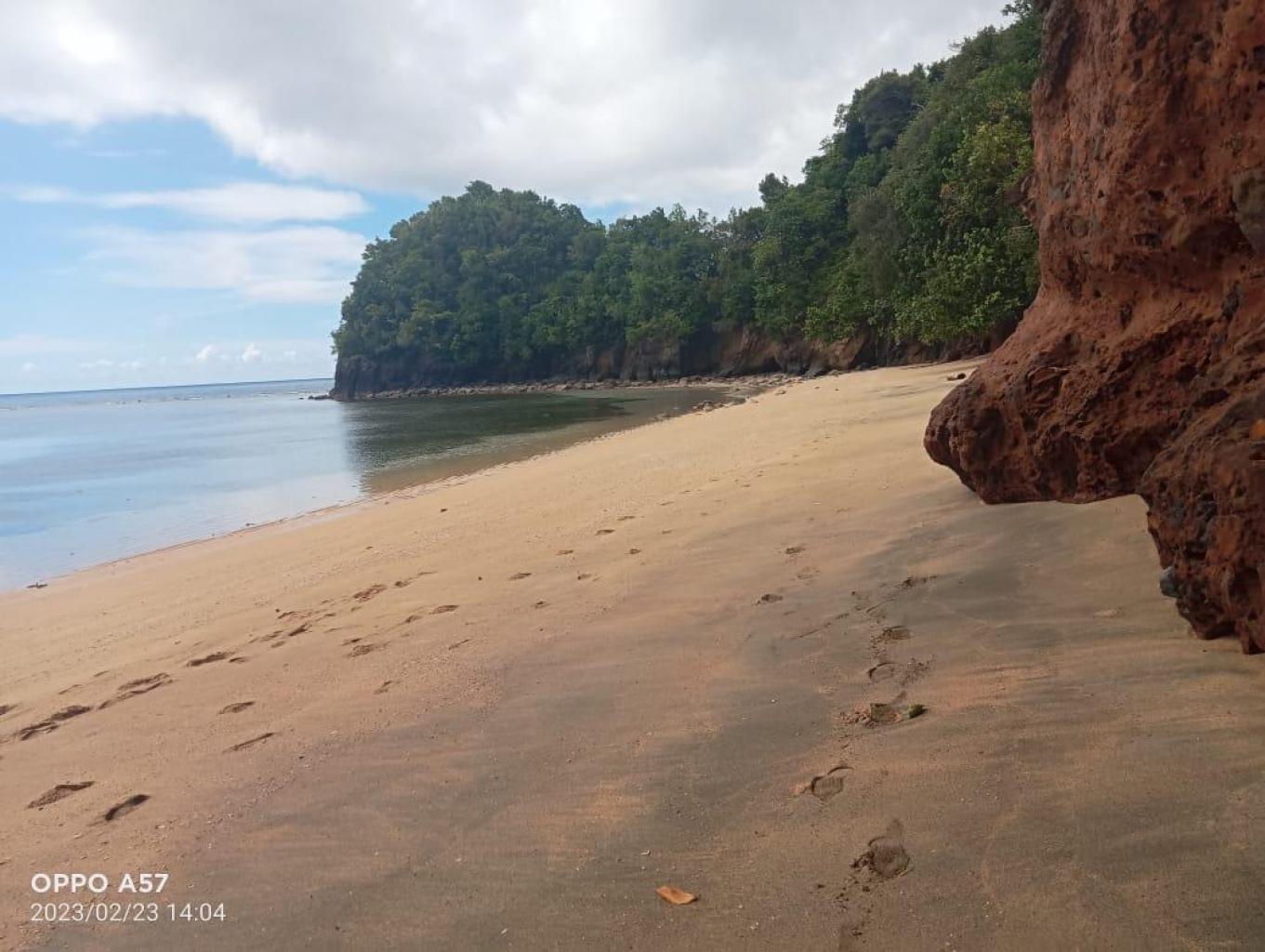 Pantai Dalmation Sanggelohe