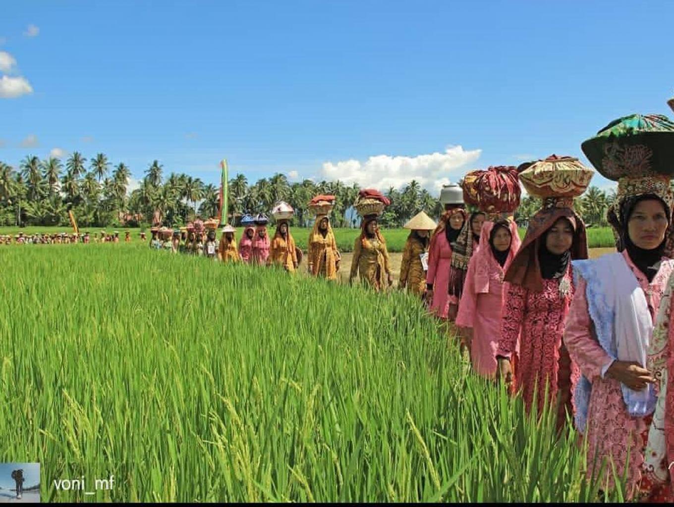 Ma'antaan nasi kasawah