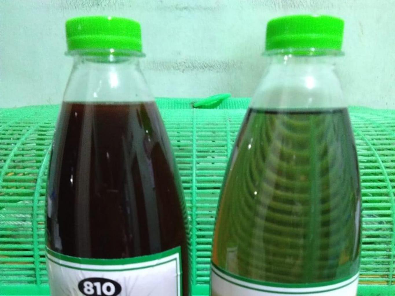 Syrup Secang dan Syrup Jambu