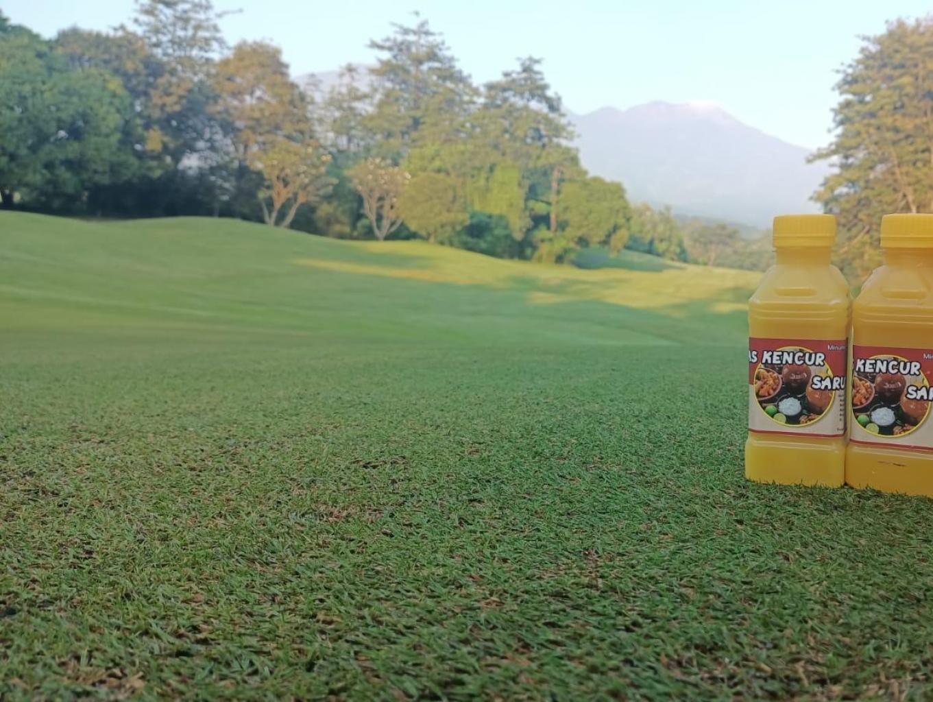 Jamu Kencur