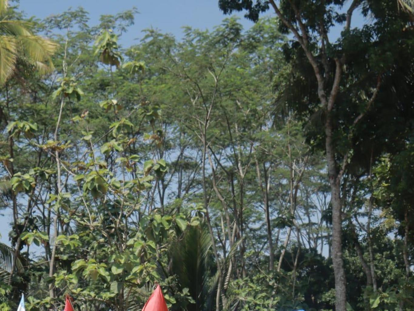 Sedekah Bumi Merti Desa