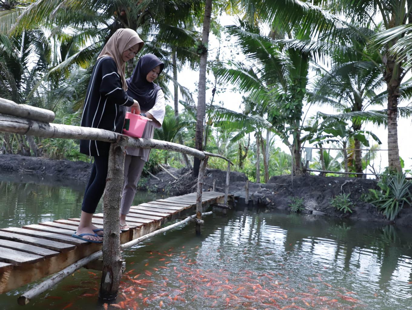 Wisata Empang